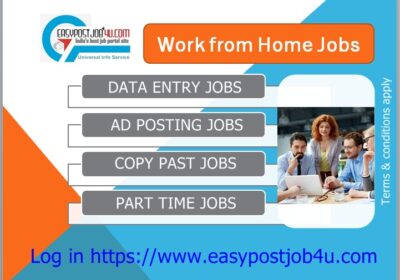 Earn from your home by doing data entry Job.