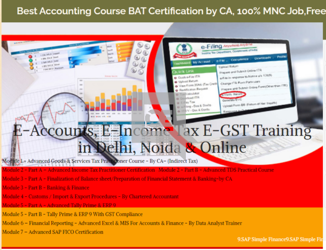 100% Placement in Accounting Course in Delhi, 110023, with Free SAP