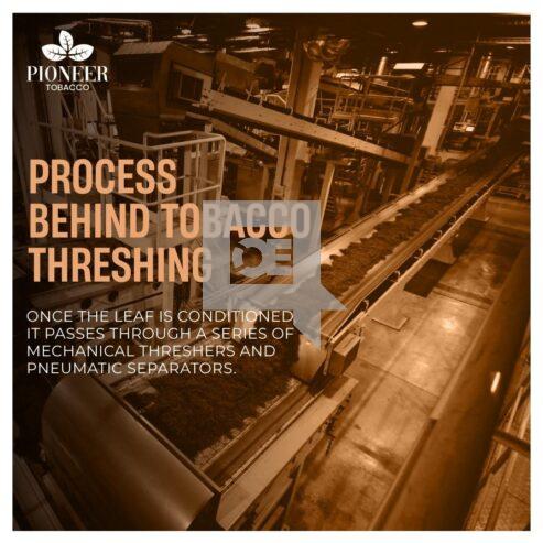 Process Behind ******* Threshing