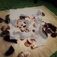 drmamaalphahnand-Spells