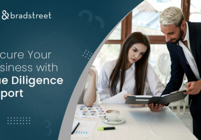 due-diligence-report