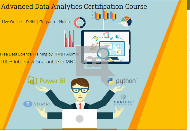 Job Oriented Data Analyst Certification Course in Delhi, 110093. Job