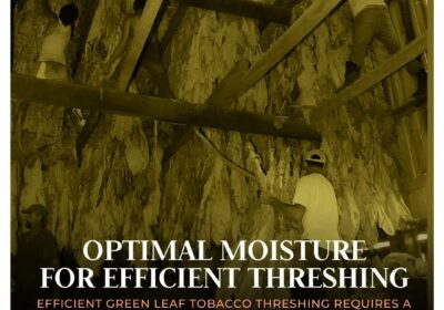 Optimal-Moisture-For-Efficent-Threshing