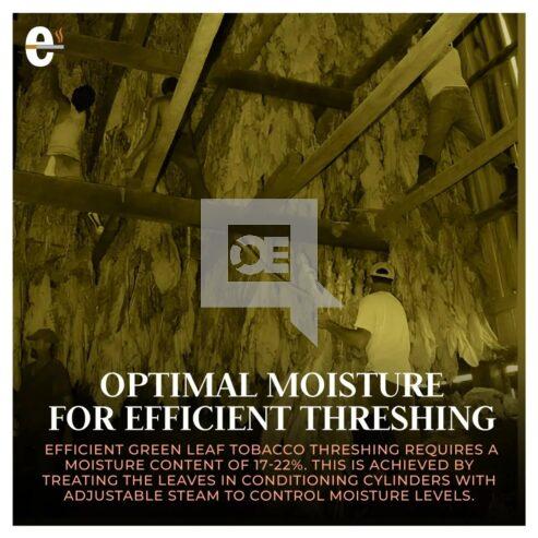 Optimal Moisture For Efficent Threshing