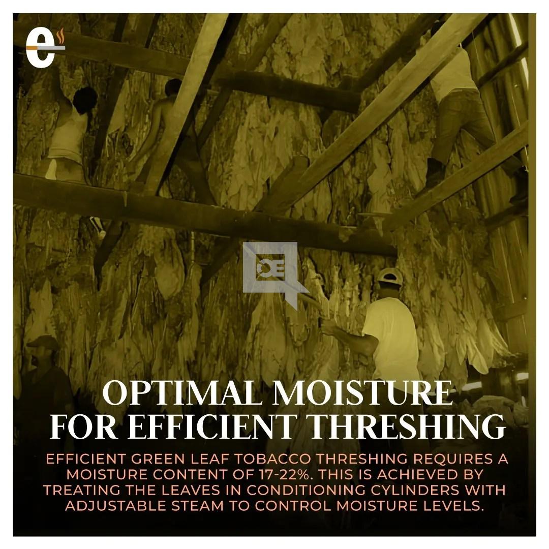 Optimal Moisture For Efficent Threshing