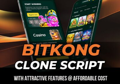 Plurance-Bitkong-Clone-Script-4