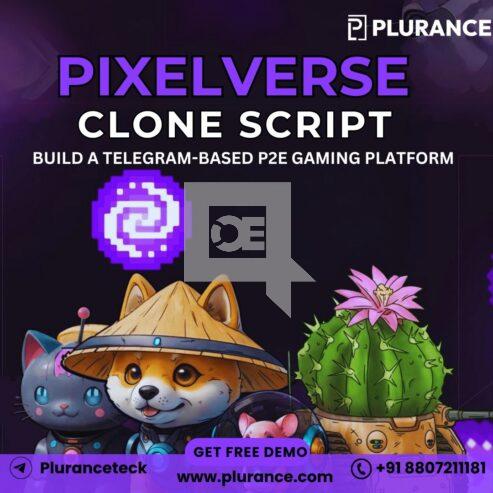 Pixelverse Clone Script- Opt Solution To Launch Your T2E Game