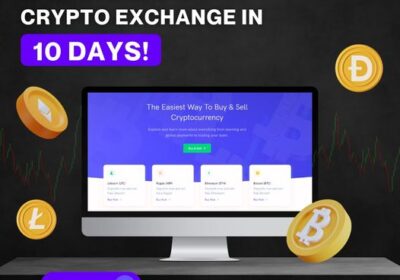 Crypto-exchange-software-10-days