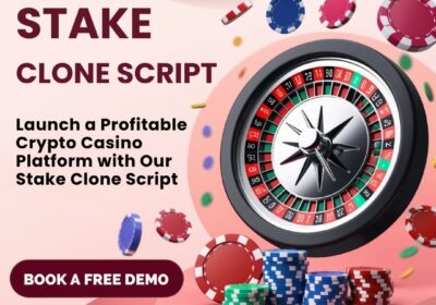 Stake-Clone-Script-12-11-2024-3