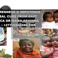 traditional-healer-dr-wanjimba-27736844586-32