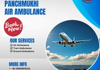 Get-Professional-Medical-Squad-during-Transfer-by-Panchmukhi-Air-and-Train-Ambulance-Services-in-Patna