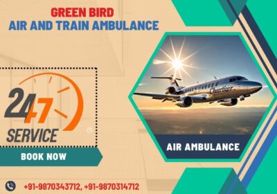 Green-Bird-Air-and-train-Ambulance