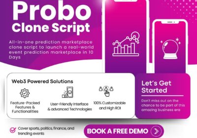 Probo-Clone-Script-17-01-2025-3