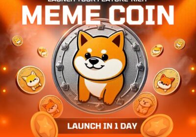 meme-coin-development-in-1-day-1