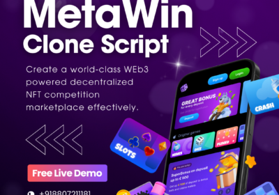 metawin-clone-script-1