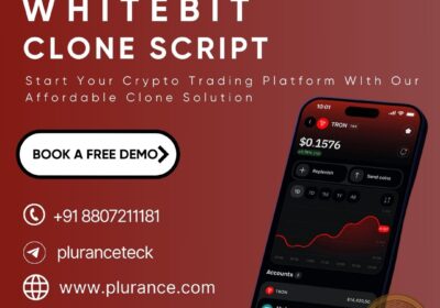 Whitebit-clone-script