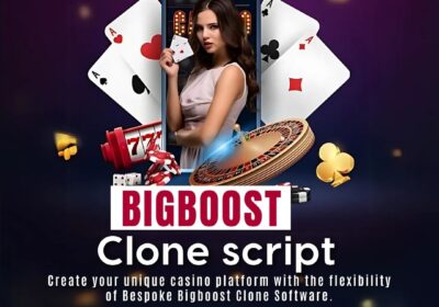 bigboost-clone-script-