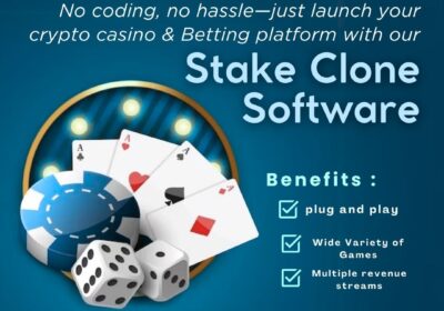 stake-clone-script-1