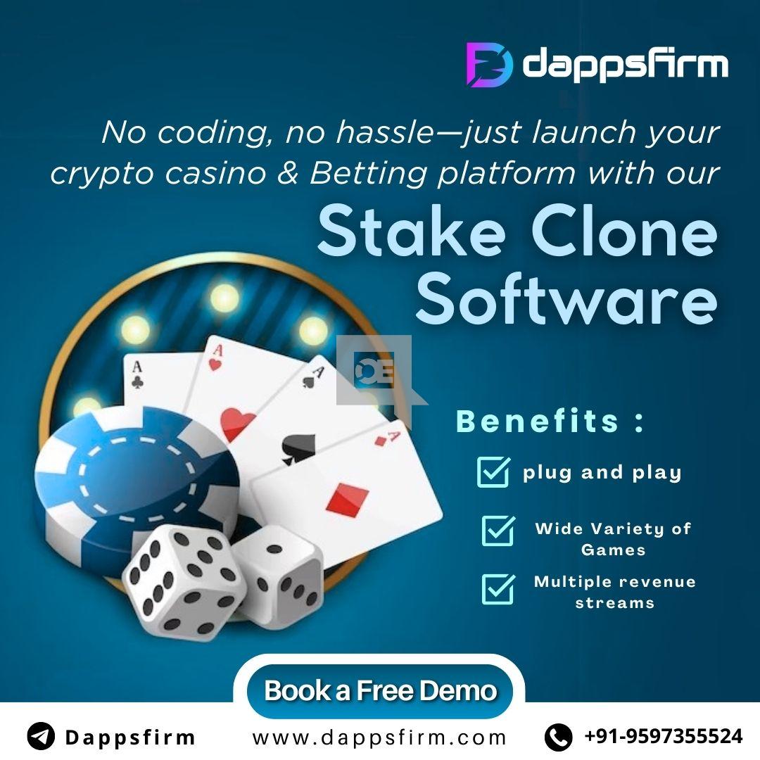 Be a Market Leader with Our Custom Stake Clone Software