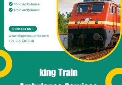 king-Train-Ambulance-Services-46