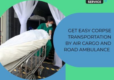 panchmukhiairambulance.com-.com_