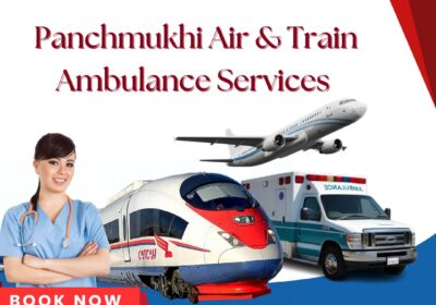 www.panchmukhiairambulance.com-1-1