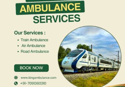 King-Train-Ambulance-Services-56-1