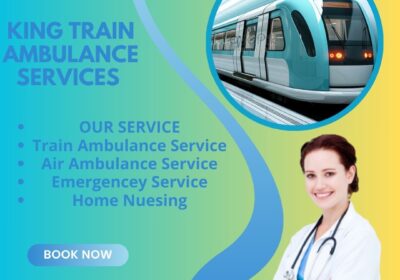 King-Train-Ambulance-Services-12